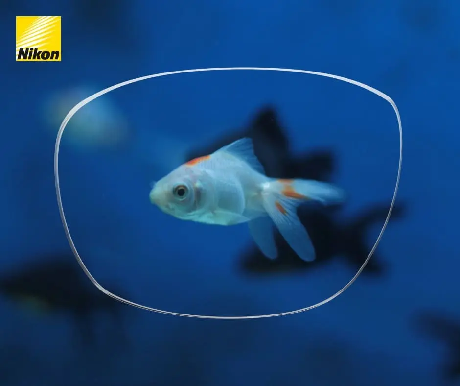 Verres - Montures - Lentilles | Poisson blanc vu à travers un verre Nikon sur fond bleu